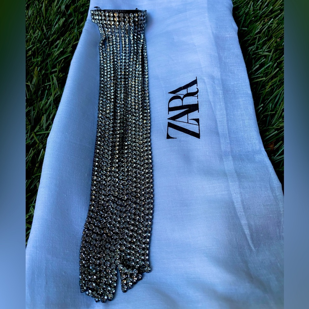 Zara rhinestone jewel fringe hair clip accessories